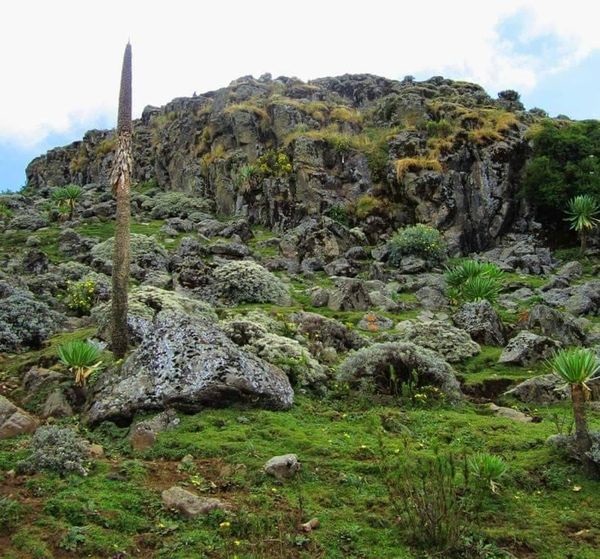 Ethiopia’s Choke Mountains Ecovillage among WTO Best Tourism Villages 2022