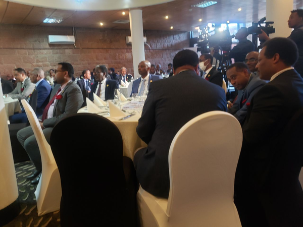 Diplomats Need to Promote Ethiopia’s Trade, Investment Potentials on Int’l Stage : Ministry of Foreign Affairs