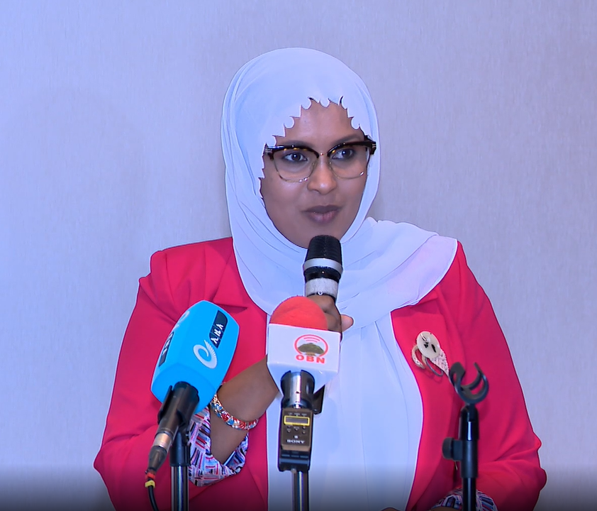 Ethiopia, Somalia Agree to Work in Partnership on Aviation Sector