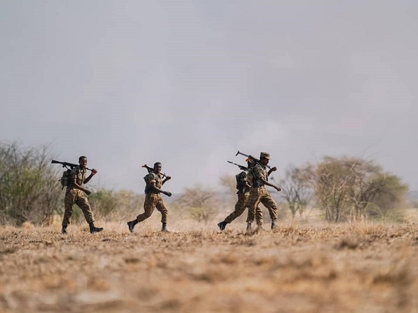 Coordinated Combat Exercise Showed Ethiopia Has Built Force that Prevents War: PM