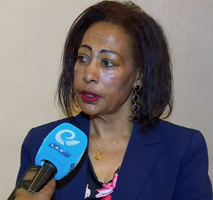 AU Summit Creates Opportunity to Further Strengthen Ethiopia’s Reviving Tourism Sector: Hotel Managers