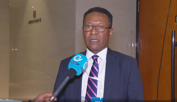 GEDAG Calls on Diaspora to Strengthen Support for Rehabilitation, Reconstruction
