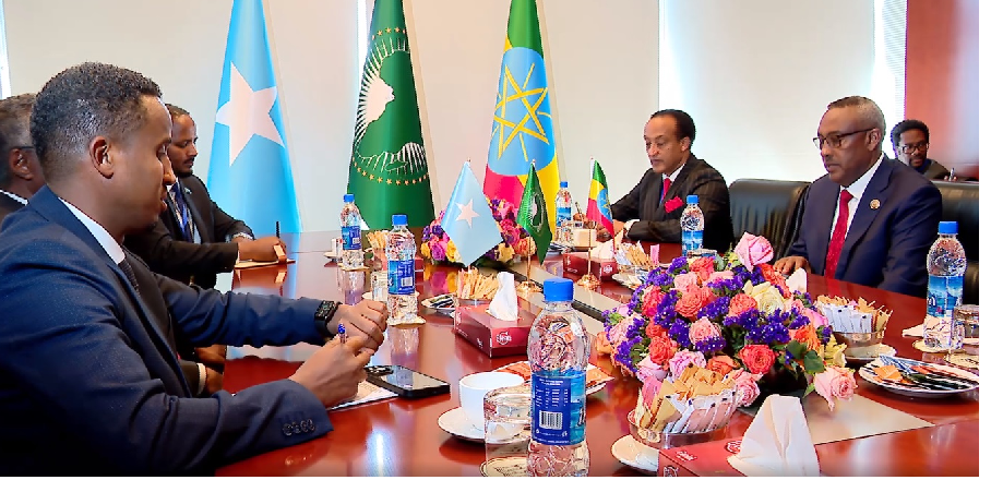 DPM, FM Demeke Confers with Foreign Affairs Ministers of Various Countries