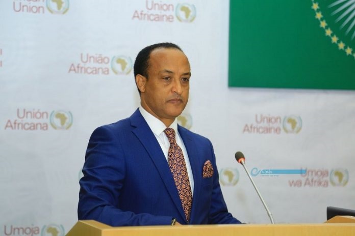Ethiopian Deputy Prime Minister and Foreign Minister Holds Talks with African Counterparts