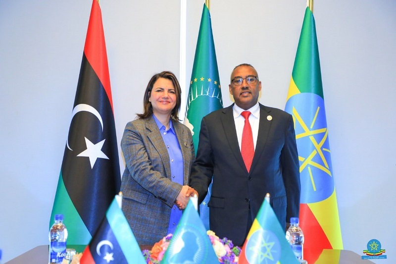 Ethiopian Deputy Prime Minister and Foreign Minister Holds Talks with African Counterparts