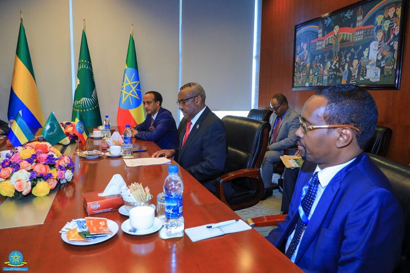 Ethiopian Deputy Prime Minister and Foreign Minister Holds Talks with African Counterparts