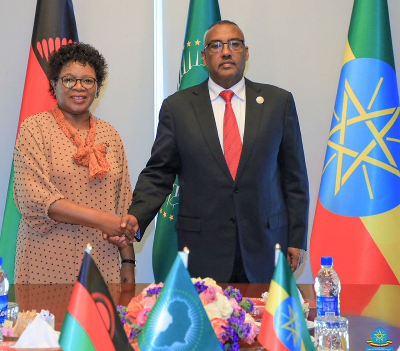Ethiopian Deputy Prime Minister and Foreign Minister Holds Talks with African Counterparts