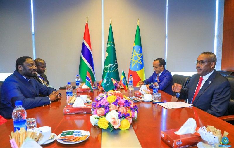 Ethiopian Deputy Prime Minister and Foreign Minister Holds Talks with African Counterparts
