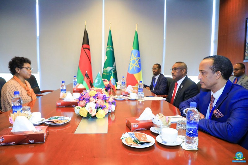 Ethiopian Deputy Prime Minister and Foreign Minister Holds Talks with African Counterparts