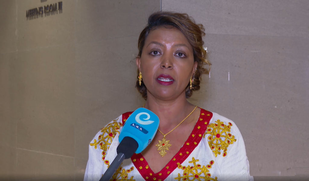 GEDAG Calls on Diaspora to Strengthen Support for Rehabilitation, Reconstruction
