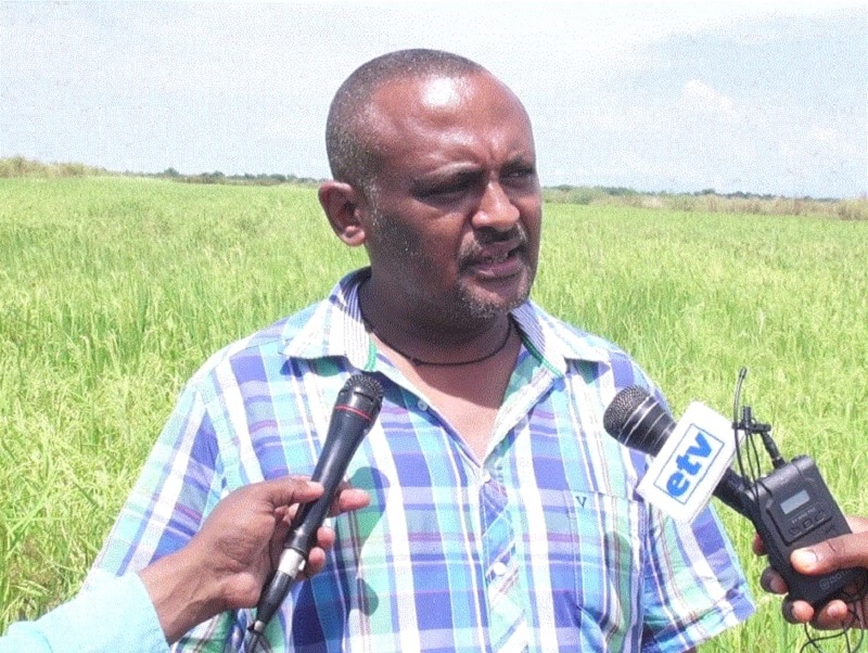 This image has an empty alt attribute; its file name is ጋምቤላ3.jpg